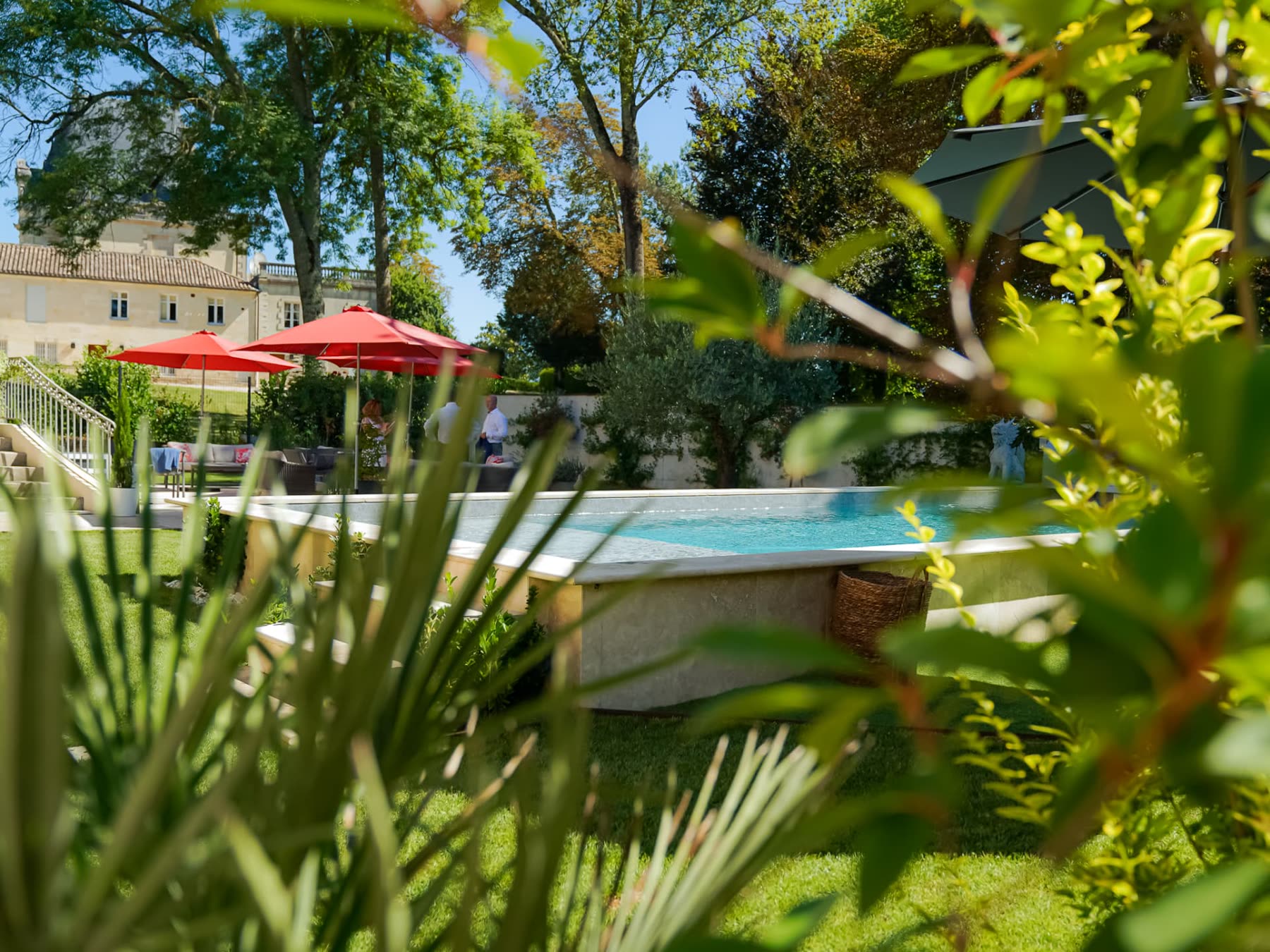 Parc et vignes autour de la maison